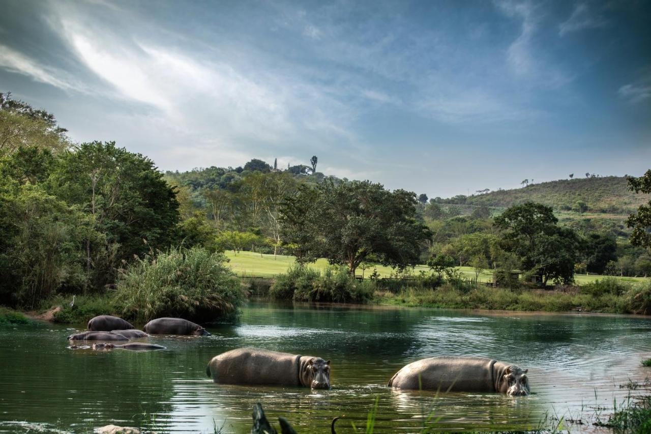 Sabi River Sun Resort Hazyview Εξωτερικό φωτογραφία