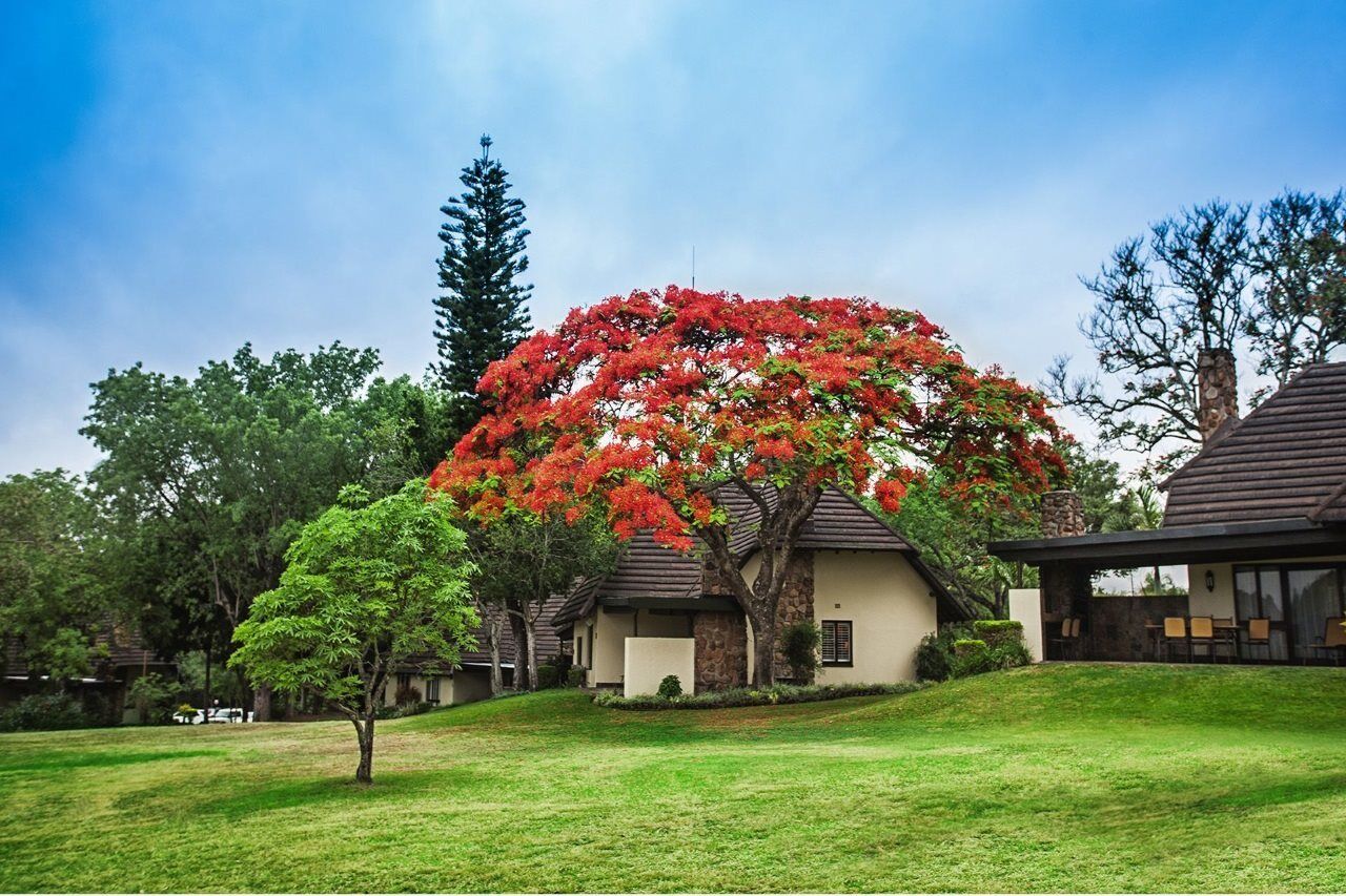 Sabi River Sun Resort Hazyview Εξωτερικό φωτογραφία